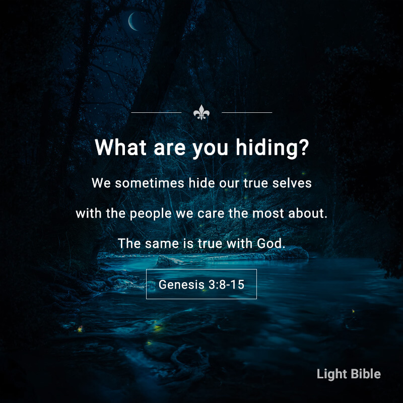 Light Bible